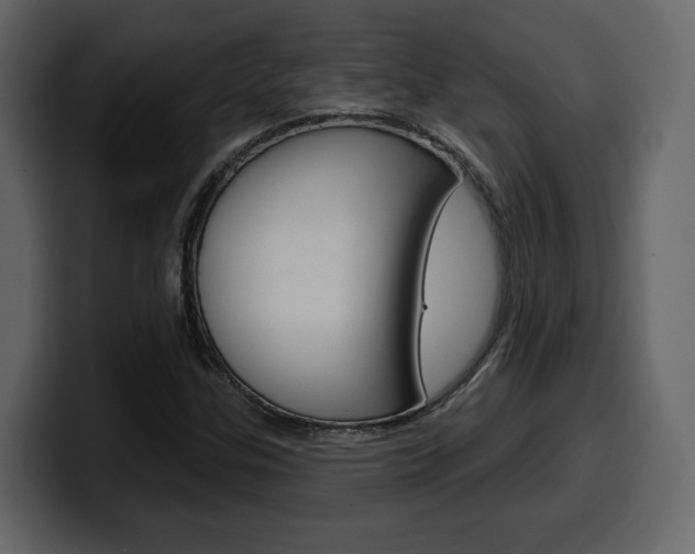 X0000099581307200805160738