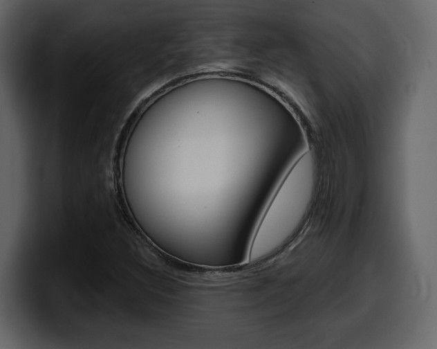X0000099581308200805160738