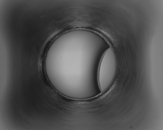 X0000099581309200805160738