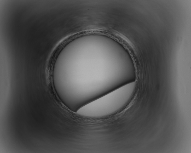 X0000099581310200805160738