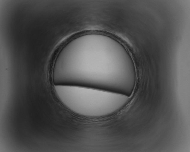 X0000099581311200805160738