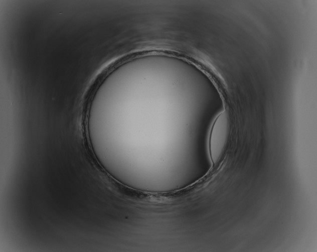 X0000099581312200805160738