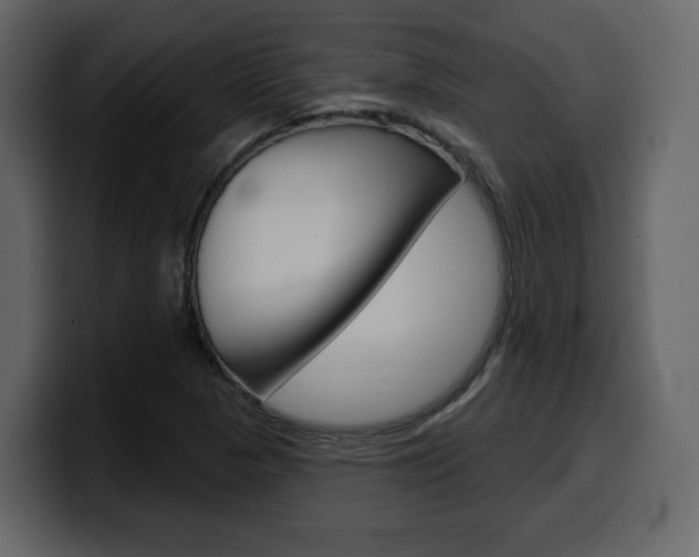X0000099581313200805160738