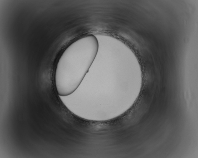 X0000099581314200805160738