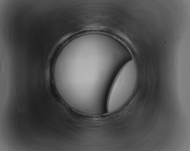 X0000099581315200805160738