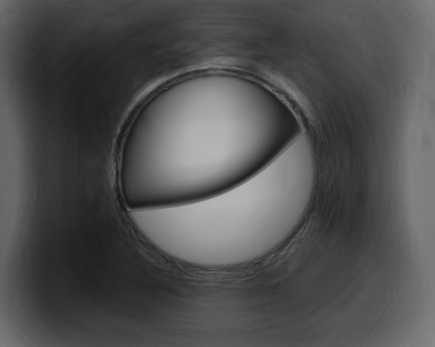 X0000099581316200805160738