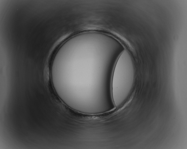 X0000099581317200805160738