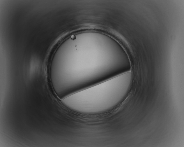 X0000099581318200805160738