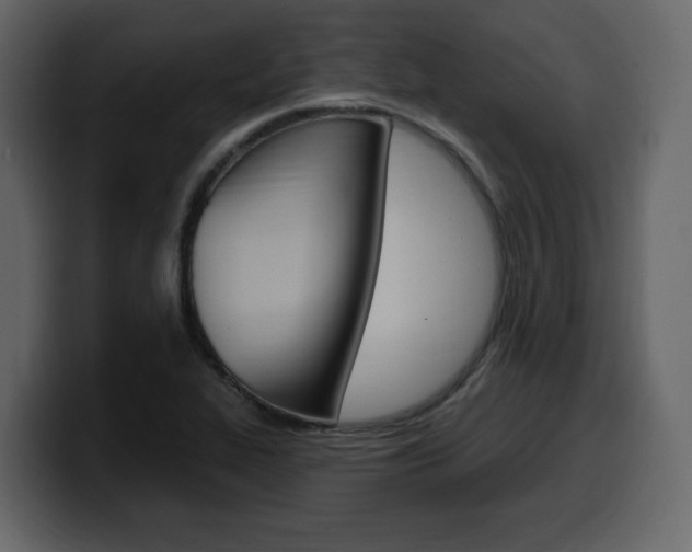 X0000099581319200805160738