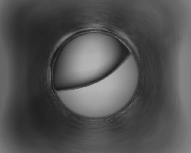 X0000099581320200805160738