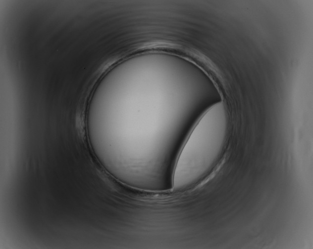 X0000099581321200805160738
