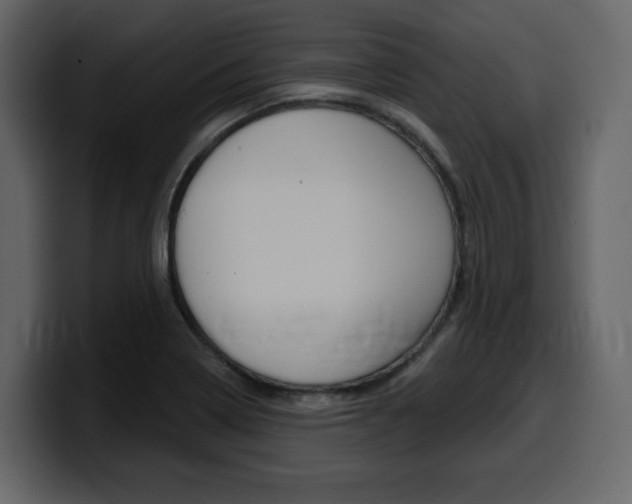 X0000099581322200805160738