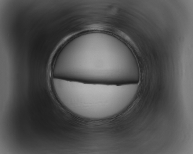 X0000099581323200805160738