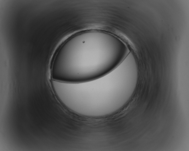 X0000099581324200805160738