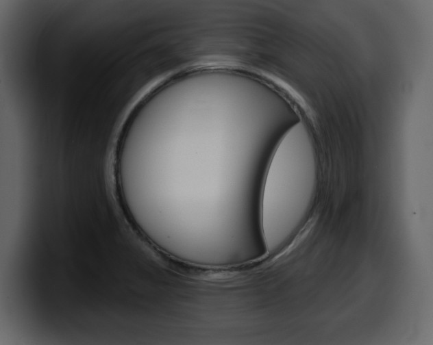 X0000099581325200805160738