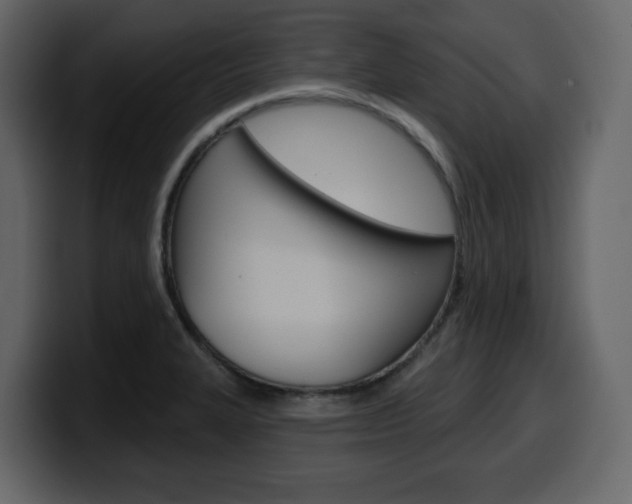 X0000099581327200805160738