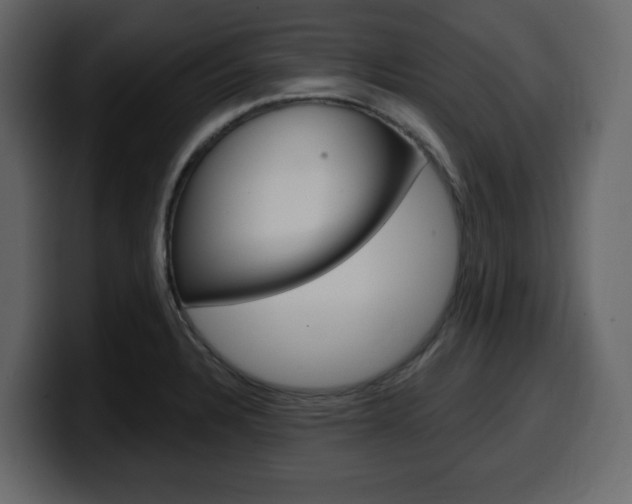 X0000099581328200805160738
