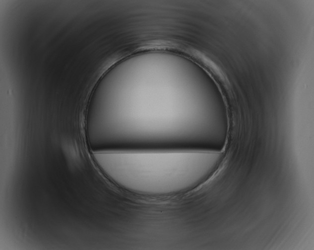 X0000099581329200805160738
