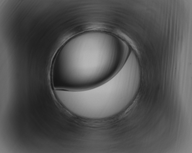 X0000099581330200805160738