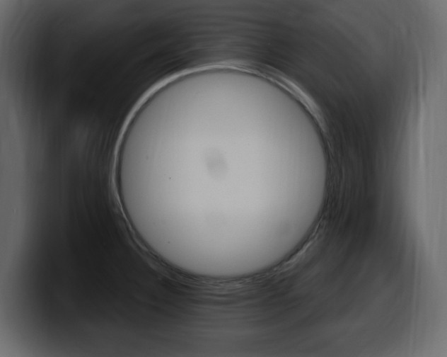 X0000099581332200805160738