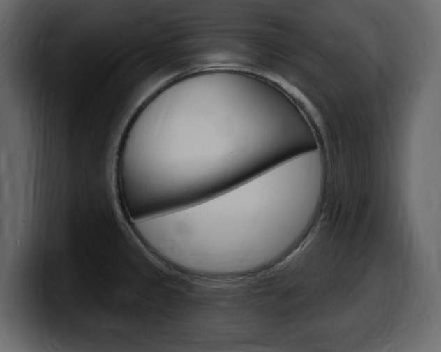 X0000099581333200805160738