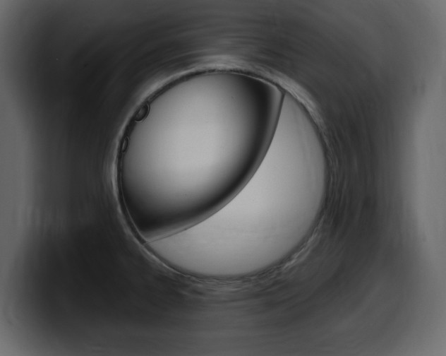 X0000099581334200805160738