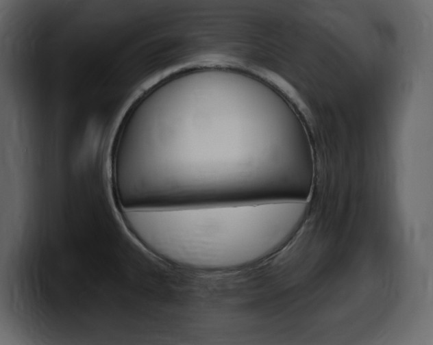 X0000099581335200805160738