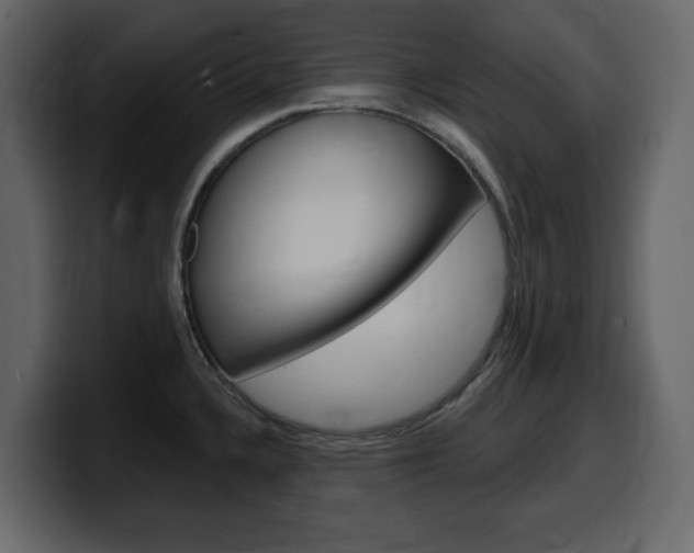 X0000099581336200805160738