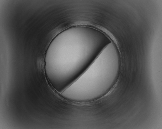 X0000099581337200805160738