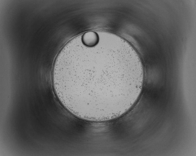 X0000099581338200805160738