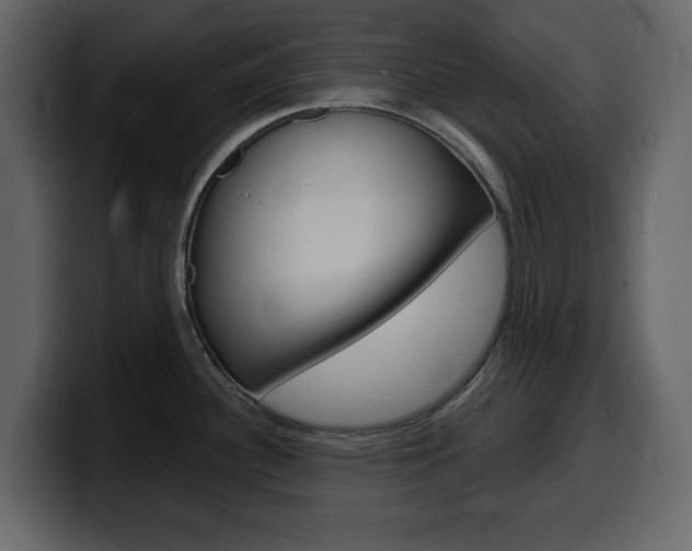 X0000099581340200805160738