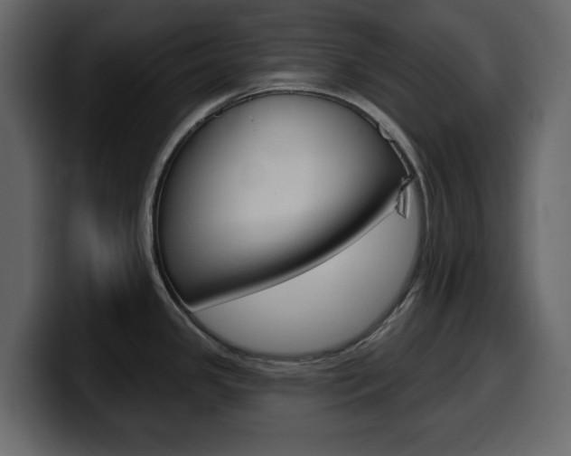 X0000099581341200805160738