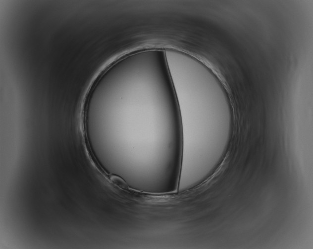 X0000099581342200805160738