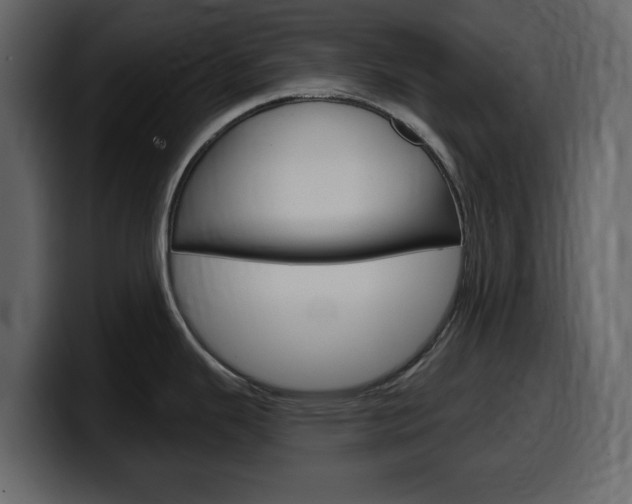 X0000099581343200805160738