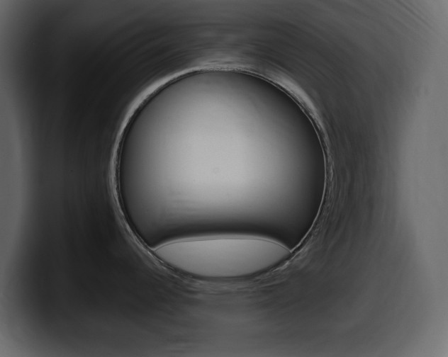 X0000099581344200805160738