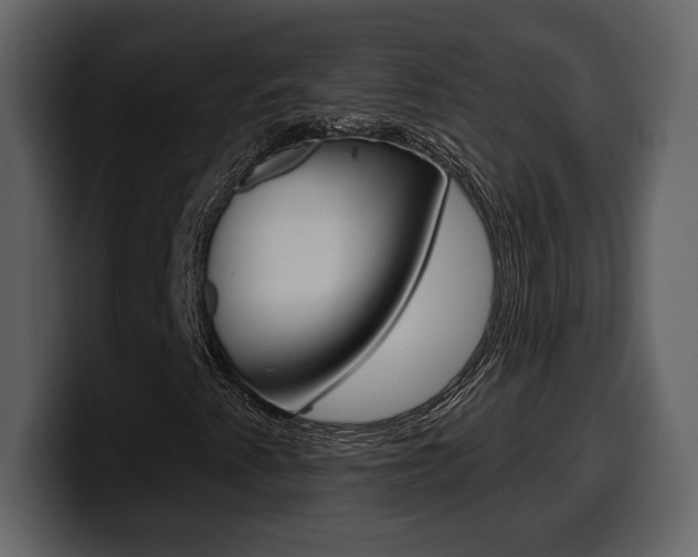 X0000099581345200805160738