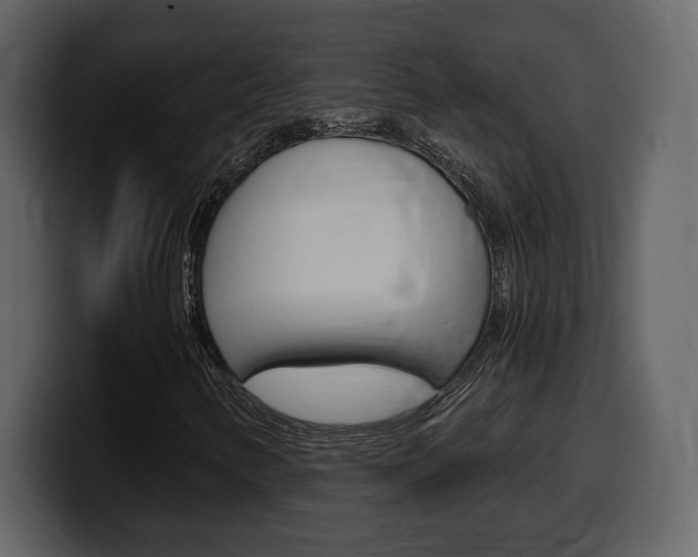 X0000099581346200805160738