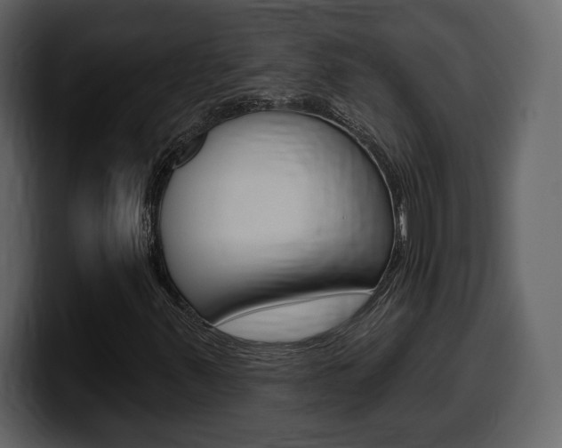 X0000099581347200805160738