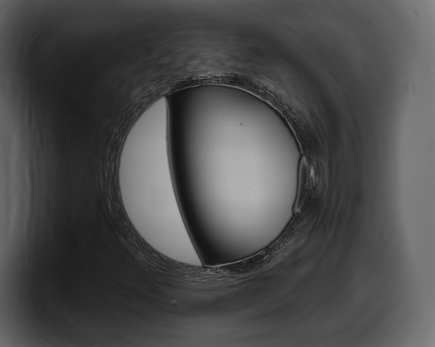 X0000099581348200805160738