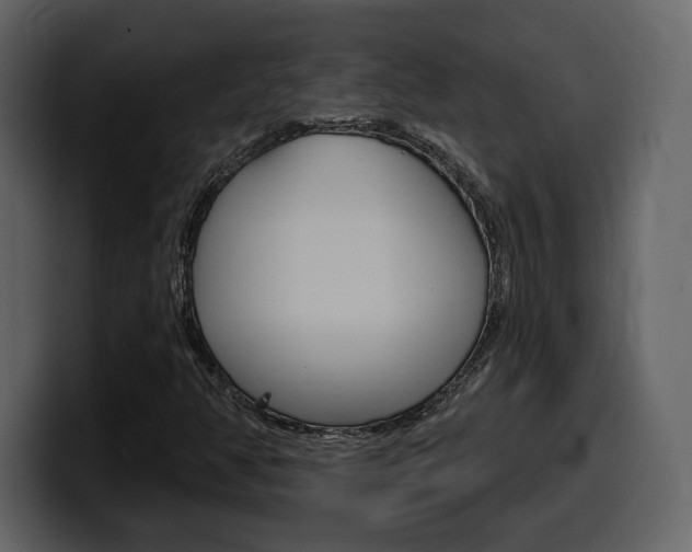 X0000099581350200805160737