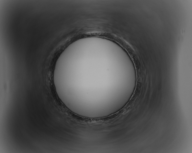 X0000099581351200805160737