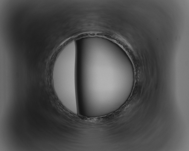 X0000099581352200805160737