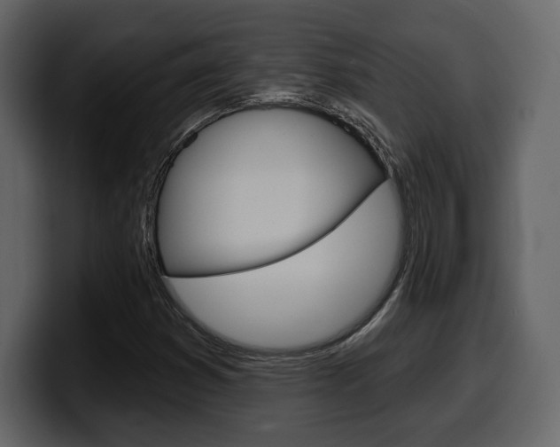 X0000099581353200805160737