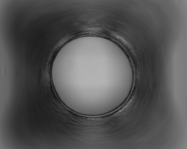 X0000099581354200805160737