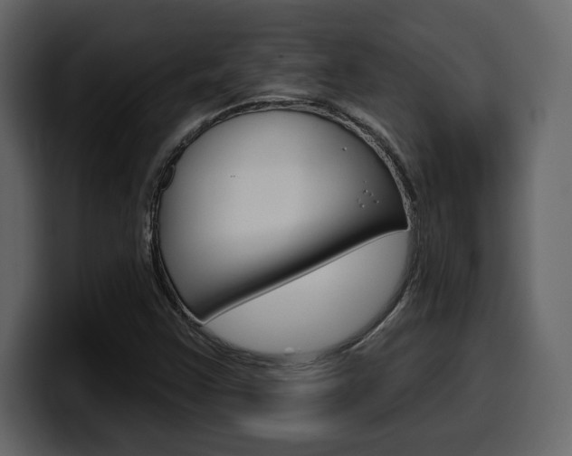 X0000099581355200805160737