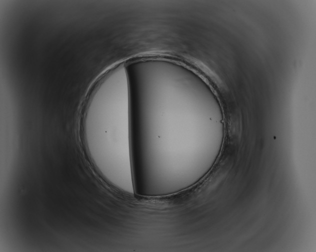 X0000099581356200805160737