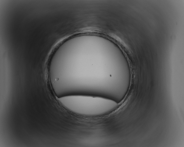 X0000099581358200805160737