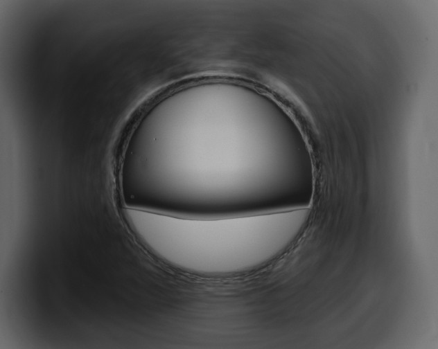 X0000099581360200805160737