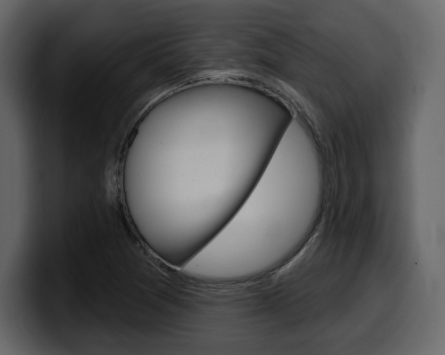 X0000099581361200805160737