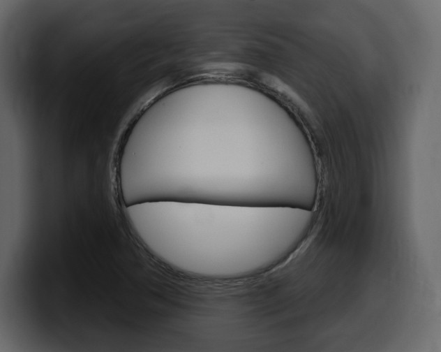 X0000099581362200805160737